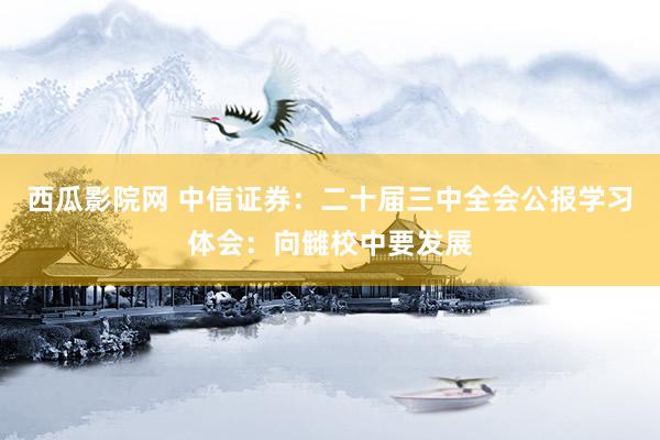 西瓜影院网 中信证券：二十届三中全会公报学习体会：向雠校中要发展