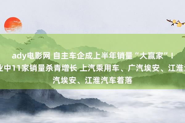 ady电影网 自主车企成上半年销量“大赢家”！14家企业中11家销量杀青增长 上汽乘用车、广汽埃安、江淮汽车着落