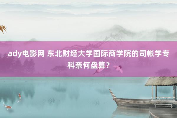 ady电影网 东北财经大学国际商学院的司帐学专科奈何盘算？