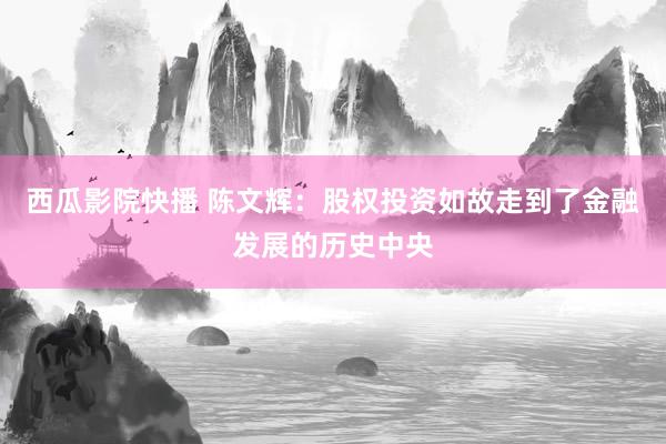 西瓜影院快播 陈文辉：股权投资如故走到了金融发展的历史中央