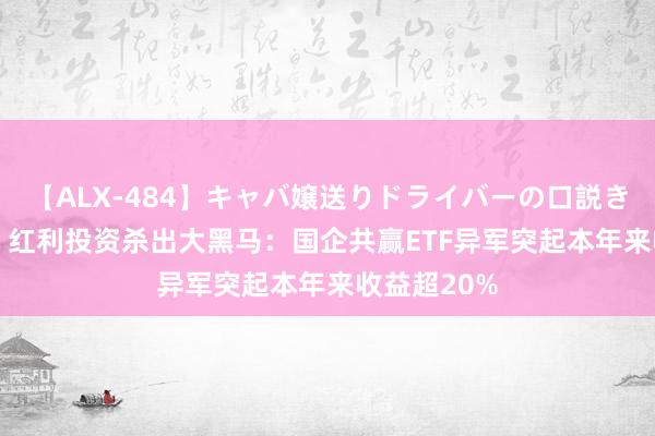 【ALX-484】キャバ嬢送りドライバーの口説きハメ撮り 2 红利投资杀出大黑马：国企共赢ETF异军突起本年来收益超20%