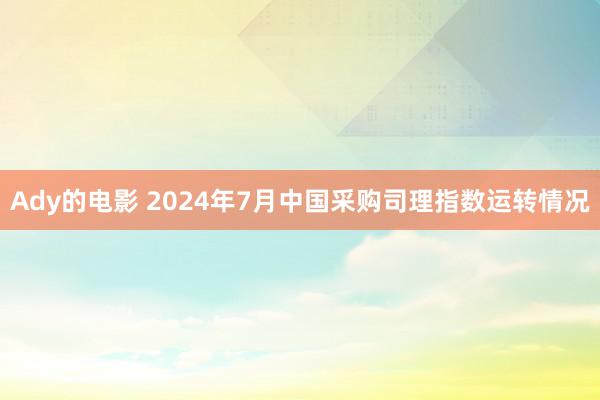 Ady的电影 2024年7月中国采购司理指数运转情况