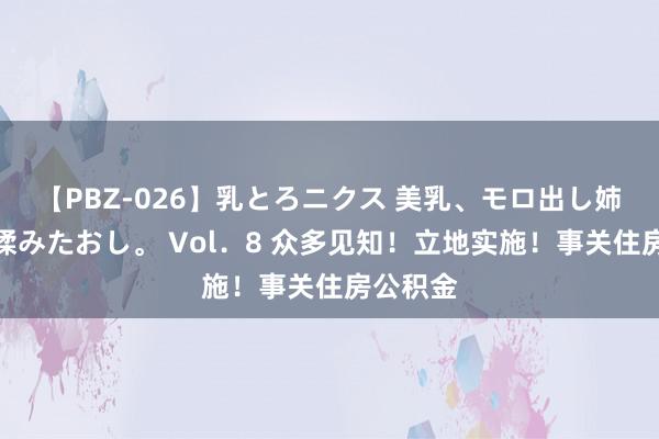 【PBZ-026】乳とろニクス 美乳、モロ出し姉ちゃん揉みたおし。 Vol．8 众多见知！立地实施！事关住房公积金