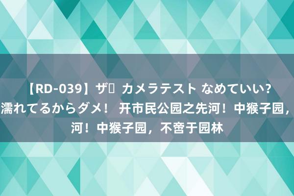 【RD-039】ザ・カメラテスト なめていい？ あ！そこは濡れてるからダメ！ 开市民公园之先河！中猴子园，不啻于园林