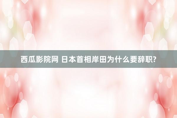 西瓜影院网 日本首相岸田为什么要辞职?