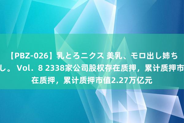 【PBZ-026】乳とろニクス 美乳、モロ出し姉ちゃん揉みたおし。 Vol．8 2338家公司股权存在质押，累计质押市值2.27万亿元