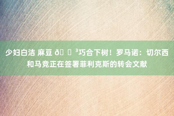 少妇白洁 麻豆 🌳巧合下树！罗马诺：切尔西和马竞正在签署菲利克斯的转会文献