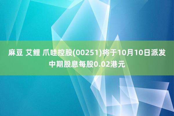 麻豆 艾鲤 爪哇控股(00251)将于10月10日派发中期股息每股0.02港元