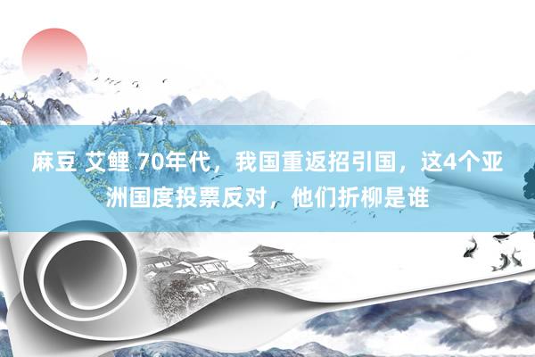 麻豆 艾鲤 70年代，我国重返招引国，这4个亚洲国度投票反对，他们折柳是谁