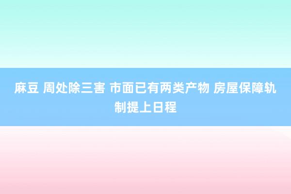 麻豆 周处除三害 市面已有两类产物 房屋保障轨制提上日程